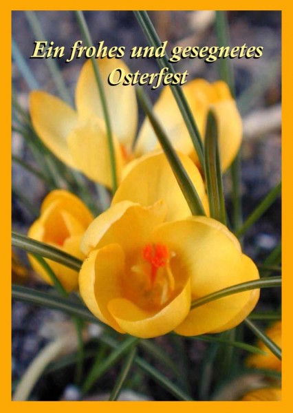 Faltkarte 6 Ex. 'Gelbe Blume'